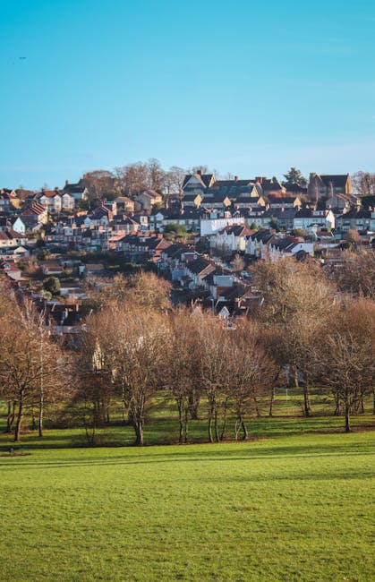The image shows an outdoor scene featuring a row of leafless trees in the foreground, with lush green grass extending across the lower part of the image. Beyond the trees, there is a residential area with closely packed houses, some with small gardens, mainly constructed from brick and featuring tiled roofs. The houses are situated on a hillside, with the terrain ascending toward a distant background of additional homes and buildings. The sky above is clear with a bright blue hue, indicating a sunny day. This setting reflects a typical suburban neighbourhood, possibly captured during the autumn or winter months when trees have shed their leaves. The scene suggests a peaceful neighbourhood, with the natural environment in the foreground and a tightly-knit community beyond, relevant to home relocation and moving services provided by Man with Van New Barnet, as highlighted on their Oakleigh Park to High Barnet quick removals guide page.